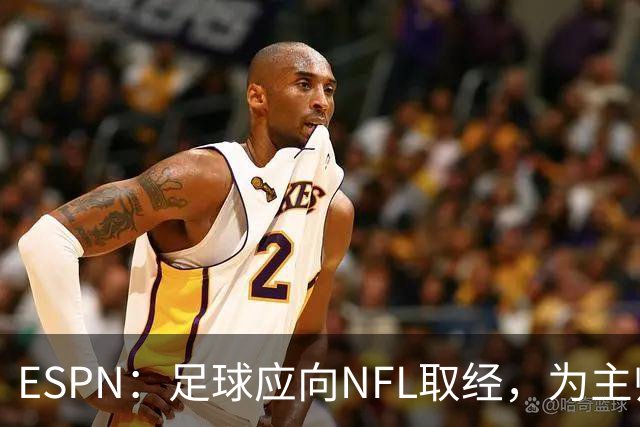 ESPN：足球应向NFL取经，为主帅引入VAR判罚挑战机制